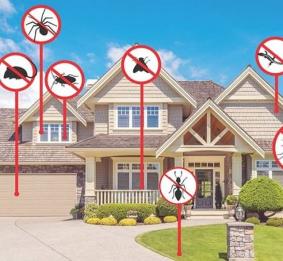 A house displaying multiple signs on its front, all stating "No Pests" to indicate pest control measures.